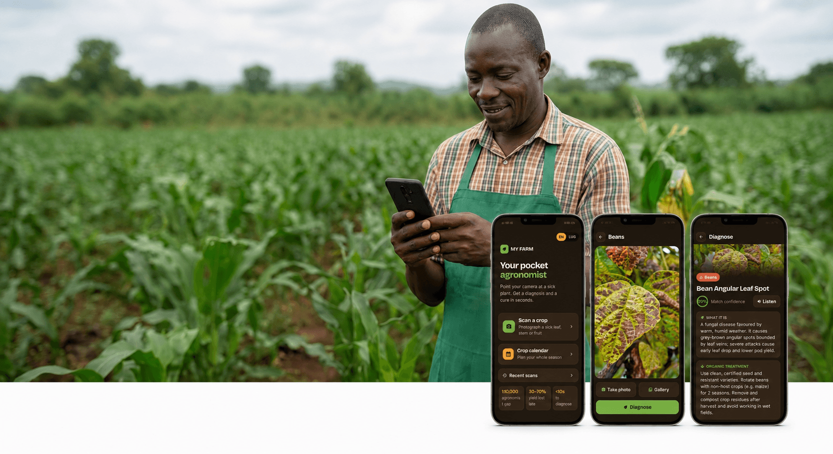 A farmer checking his maize crop with the MyFarm AI app